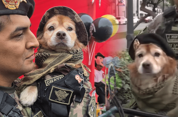 'Chato' se despide del Desfile Militar wapa.pe