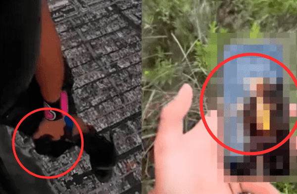 Paracaidista pierde su celular tras caer de 1,500 metros de altura y lo encuentra como nuevo wapa.pe