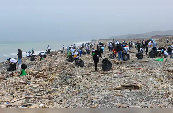 Playas limpias 2025 wapa.pe