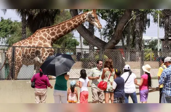 Aún quedan feriados para disfrutar en familia, amigos o pareja. wapa.pe