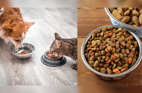 alimentos para mascotas wapa.pe