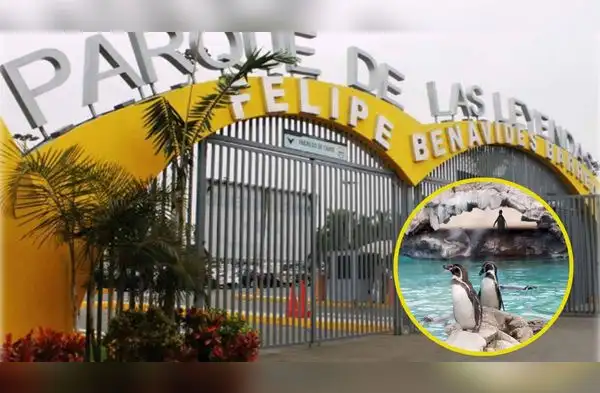 Estos son los 3 DOCUMENTOS que puedes presentar para entrar GRATIS. Conoce quienes pagan entrada regualar. wapa.pe