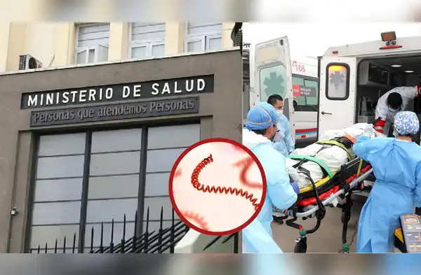 Alerta por muertes de leptospirosis en Perú: quiénes son más vulnerables y acciones del Minsa. wapa.pe