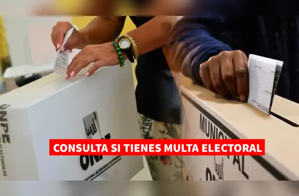 Consulta con tu DNI si tienes multas electorales antes de las Elecciones Regionales y Municipales 2026 wapa.pe