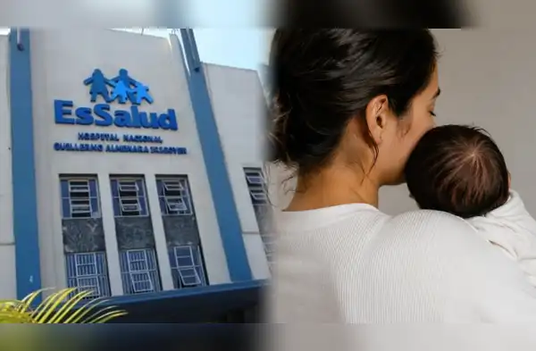 EsSalud entrega subsidio para madres aseguradas wapa.pe