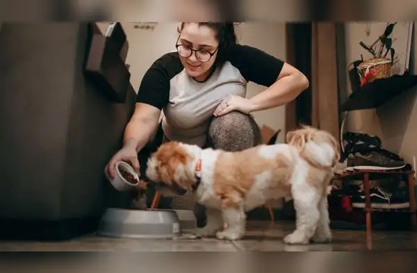 Recomendaciones para cuando las mascotas pierden el apetito. wapa.pe