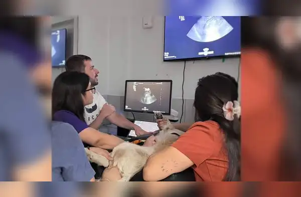 El ecografista veterinario español Oscar Cruz visitó la ciudad de Lima para capacitar a equipos médicos de diversas clínicas . wapa.pe