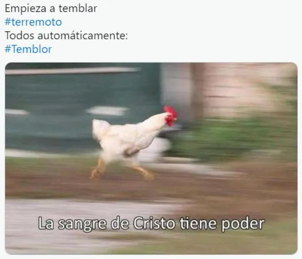 wapa.pe