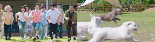 <strong> "Hasta que el cielo nos reúna" es el nuevo kdrama de Netflix</strong> <strong> "Hasta que el cielo nos reúna" es el nuevo kdrama de Netflix</strong>