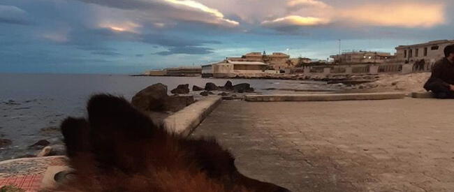 Foto: <em>Qua la Paampa</em>    