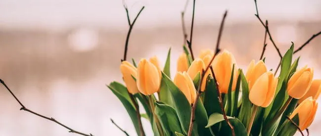  Las flores amarillas tienen un gran significado para algunas parejas el 21 de marzo.    