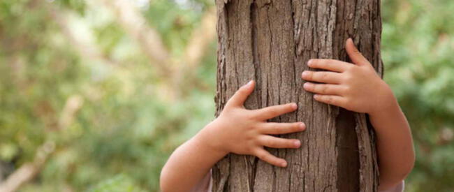 Abrazar un árbol es unas de las costumbres para beneficio de la salud.   