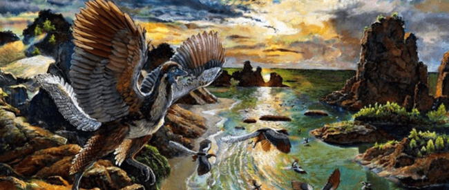  Estudios sostienen que los Archaeopteryx albersdoerferi son la especie prehistórica más cercana a las aves modernas. Foto: Zhao Chuang    