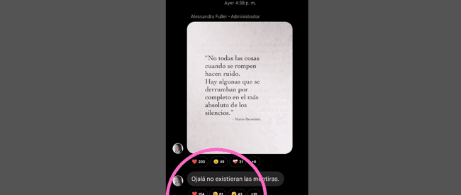 Alessandra Fuller vía Instagram. Alessandra Fuller vía Instagram.