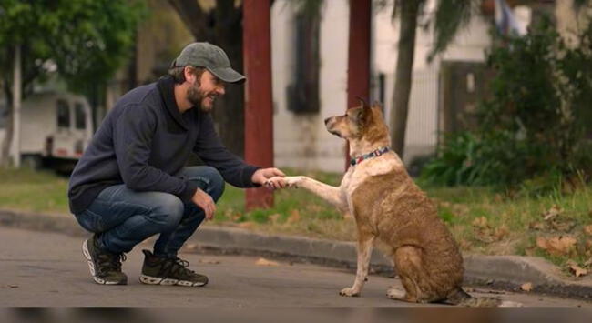 <strong> 'Corazón delator' es la nueva película argentina que triunfa en Netflix</strong> <strong> 'Corazón delator' es la nueva película argentina que triunfa en Netflix</strong>