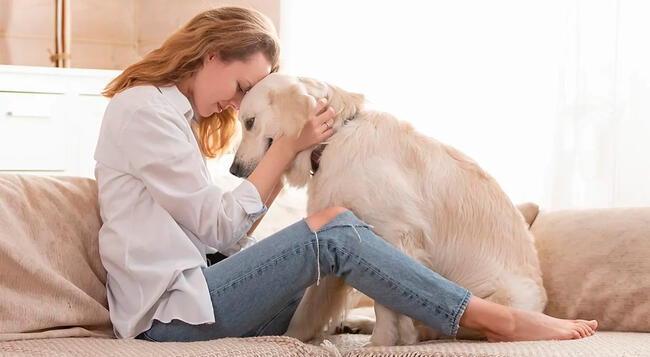 La dependencia emocional entre una mascota y su dueño ¿Es bueno o malo?   