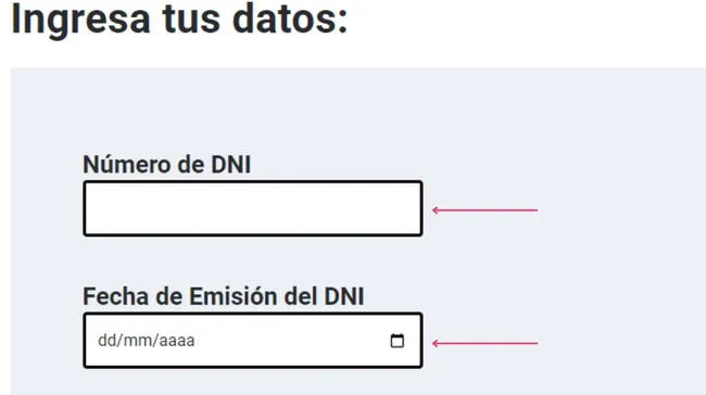 Ingresa los datos correspondientes para el Bono Yanapay Perú. (Foto: captura de pantalla)   