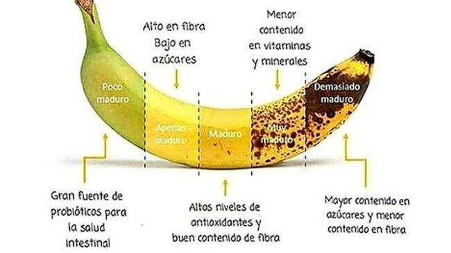 Estas son las etapas de maduración del plátano. Foto: HPN Australia 