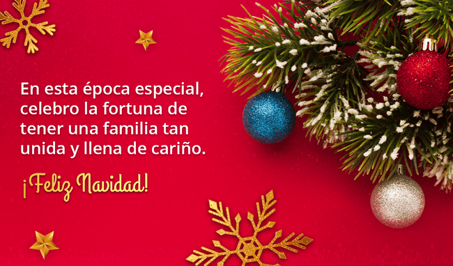 <strong> Frases de Navidad</strong>    