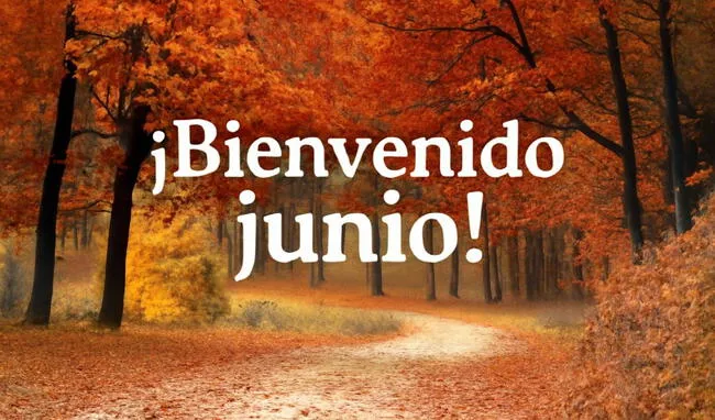 <strong> Comparte frases, mensajes y más por el mes de junio 2025. Foto: Composición LR</strong> <strong> Comparte frases, mensajes y más por el mes de junio 2025. Foto: Composición LR</strong>