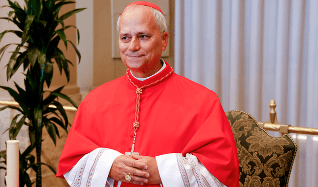 Papa Peruano Papa Peruano