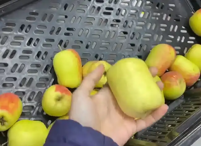 Manzana, una fruta que te ayudará a blanquear tus dientes.   