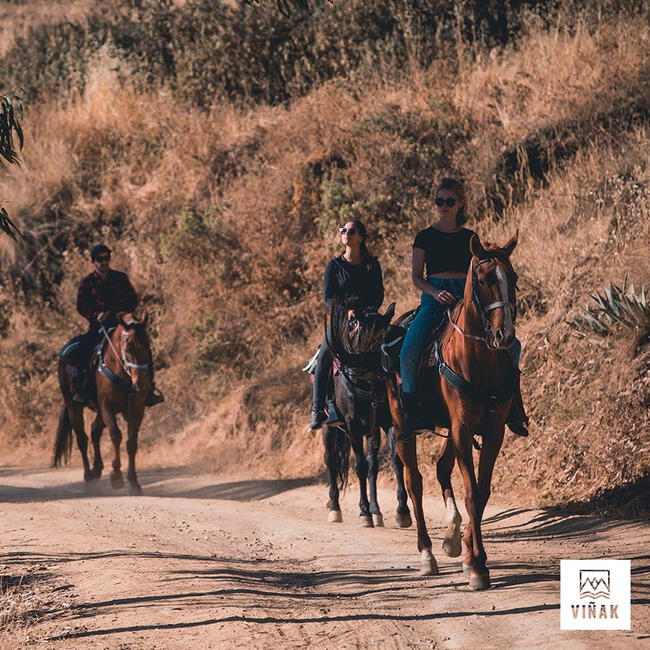  El Refugio Viñak ofrece un viaje a caballo por la zona. (Foto: Refugio Viñak/ Twitter)  