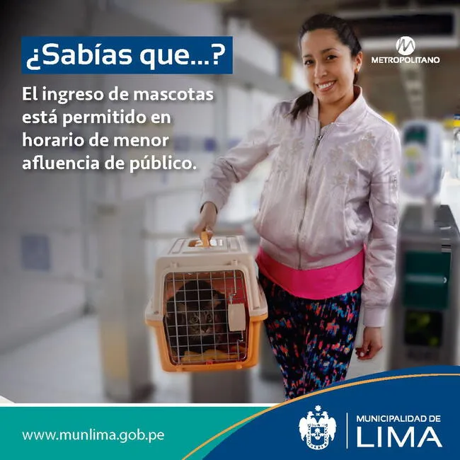 ATU recuerda a los peruanos que pueden llevar a sus mascotas en sus buses del Metropolitano. 