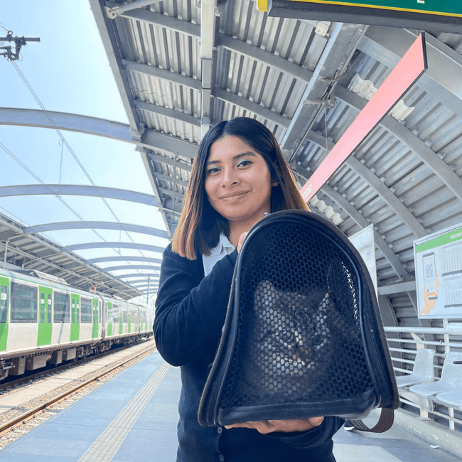 <em>Joven dueña con su gato en el tren eléctrico.</em>   