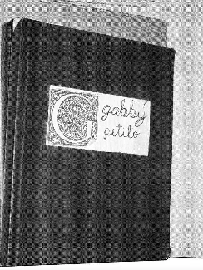 Cuaderno de Gabby Petito.   