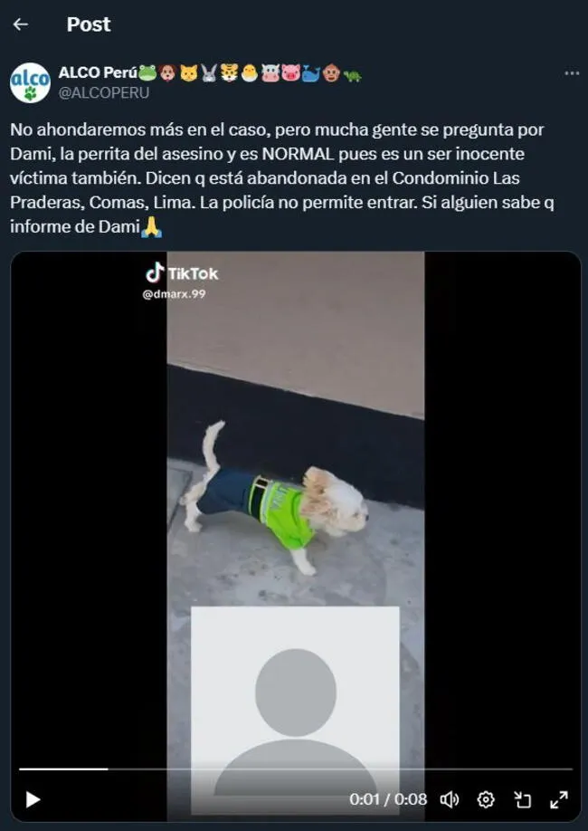 ¿En dónde está la perrita del feminicida Darwin Condori? Video: TikTok / ALCO Perú    